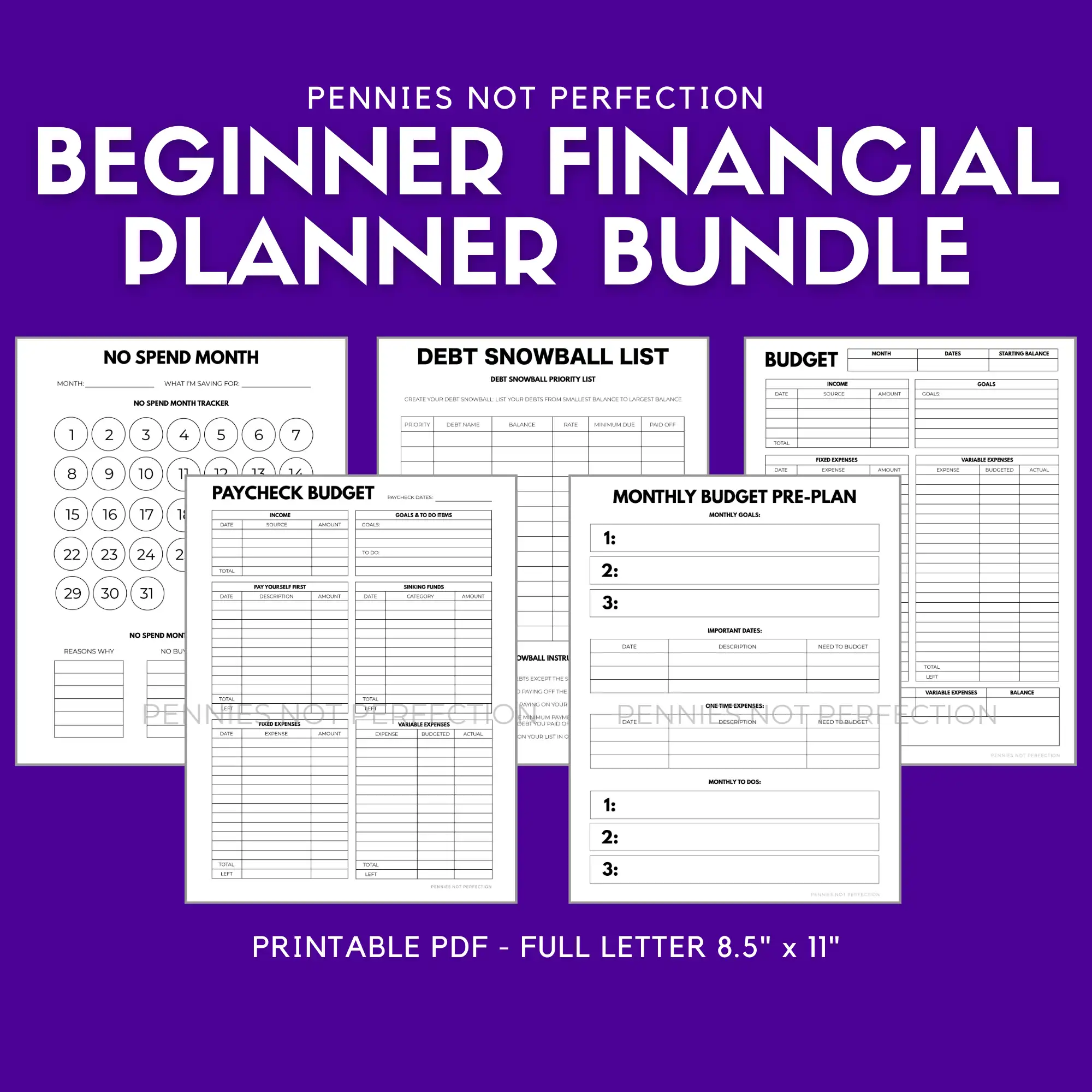 Financial Bundle: Budgeting, Savings, Debt Payoff